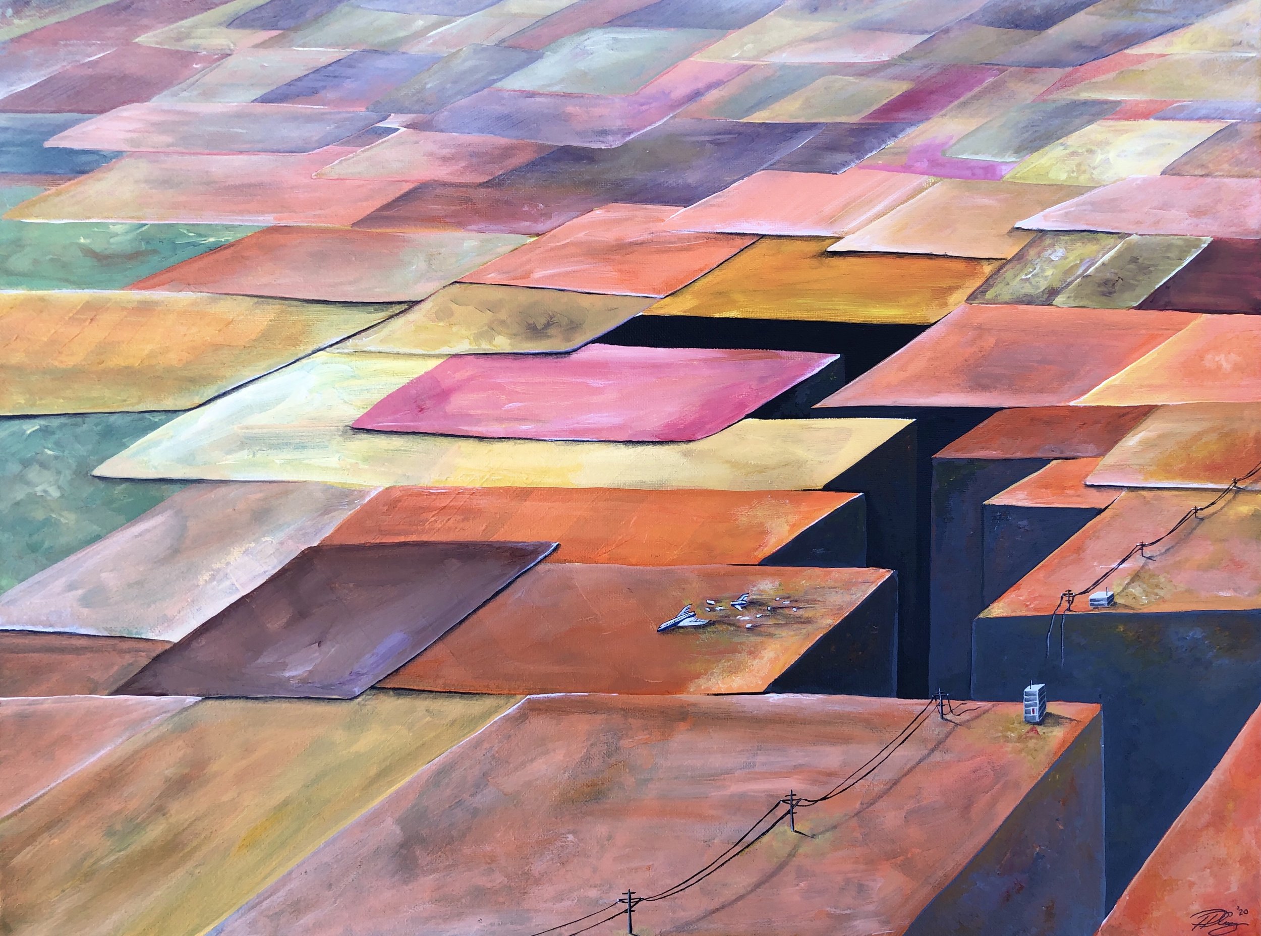 Missing Flight - 11/2020 - 18" x 24" (45.7 cm x 61.0 cm)